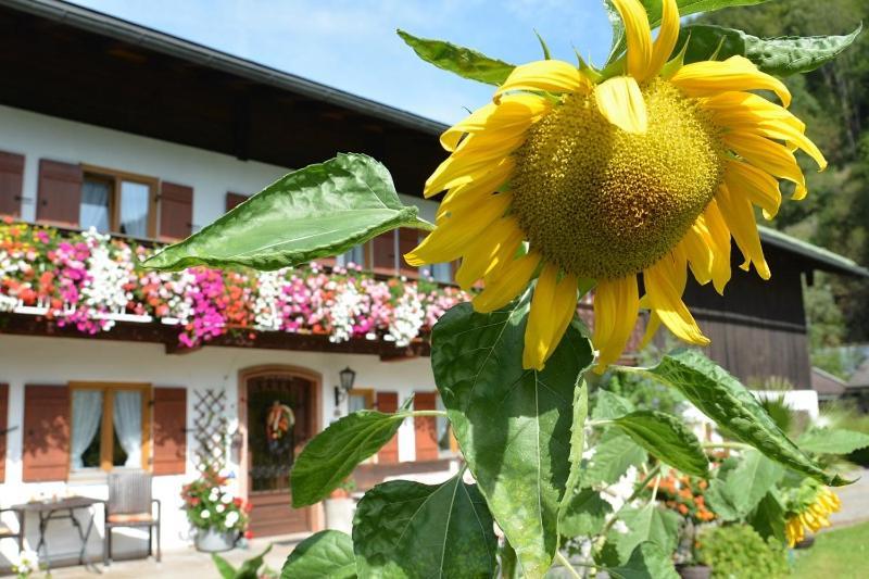 Haus Jagerer Ramsau bei Berchtesgaden Exterior foto